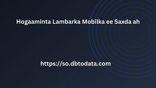 Hogaaminta Lambarka Mobilka ee Saxda ah