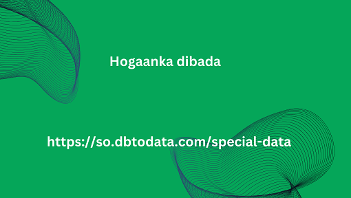 Hogaanka dibada