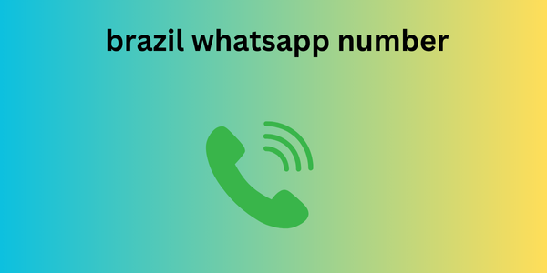 brazil whatsapp number